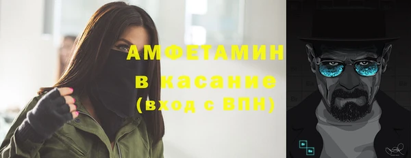 сатива Аркадак