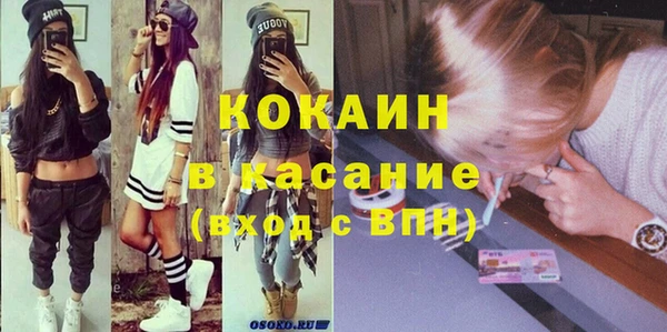 сатива Аркадак