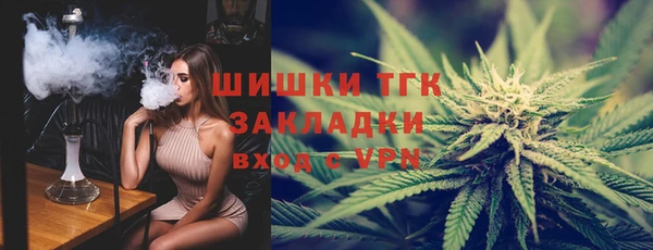 сатива Аркадак