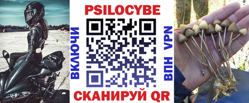 блэк спрут как зайти  Куйбышев  Галлюциногенные грибы GOLDEN TEACHER 